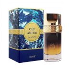 Oud Ameeri Perfume 100 ml by Surrati (ZV:28645)